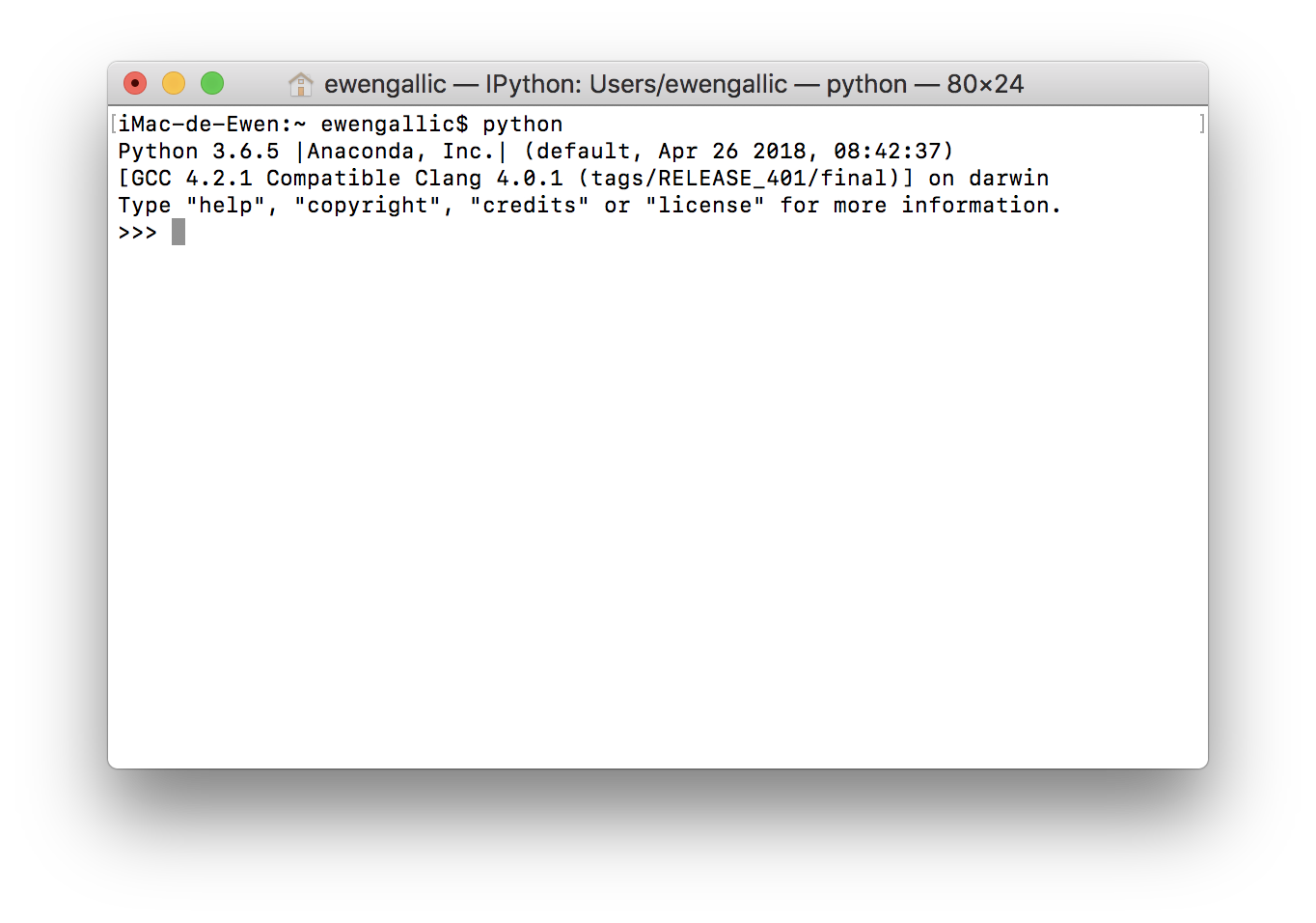 Python in a terminal.