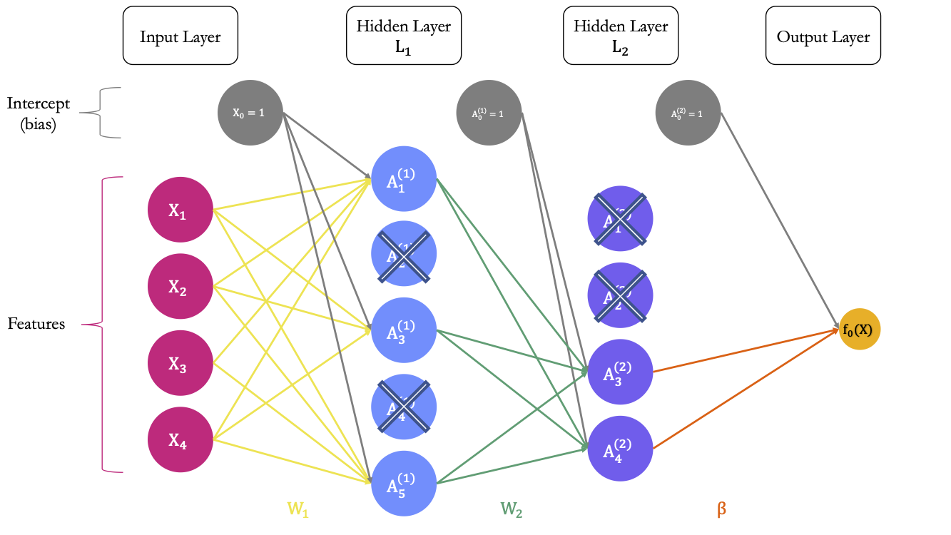 Dropout regularisation: each unit of the hidden layer has a probability to be dropped out.