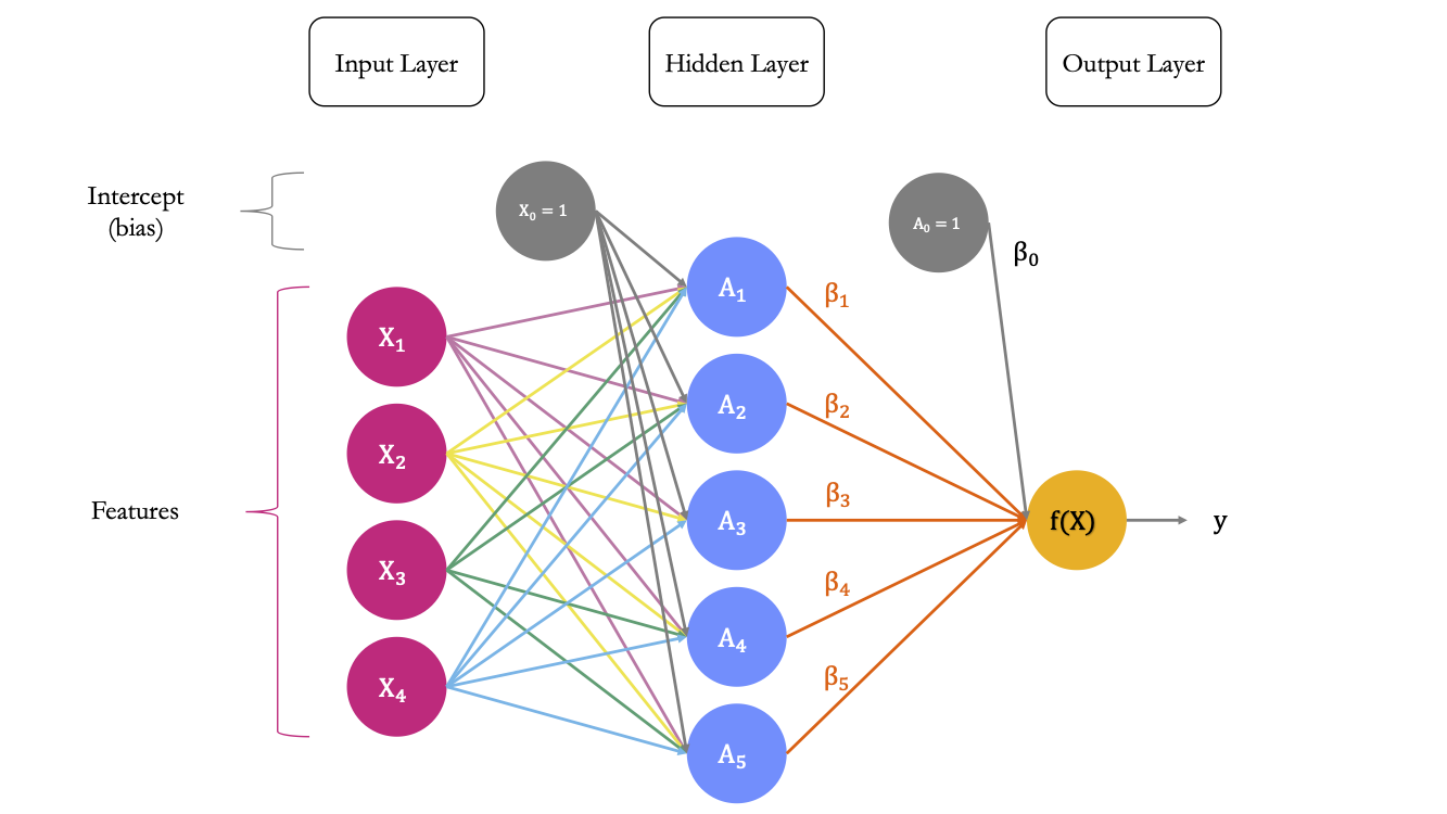 A simple Neural Network with 4 predictors and a single hidden layer.